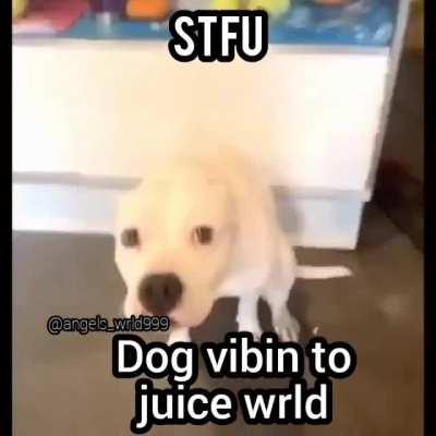 Twerkin to some Juice