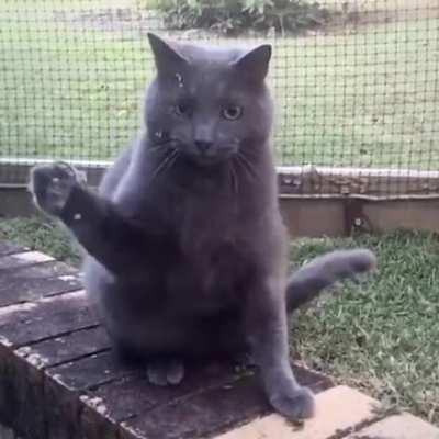 Bubble pop makes the heart drop