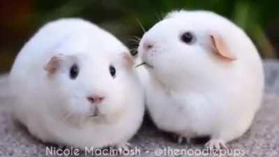 When the existential dread hits you