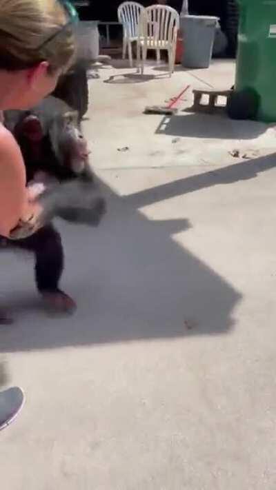 Animals love us the way we love them