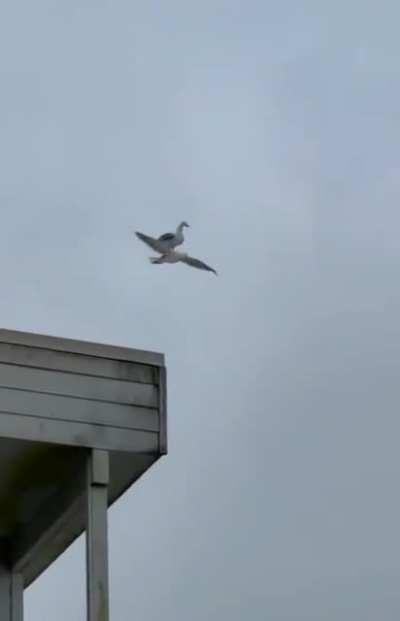 “Rest bro, I got you”