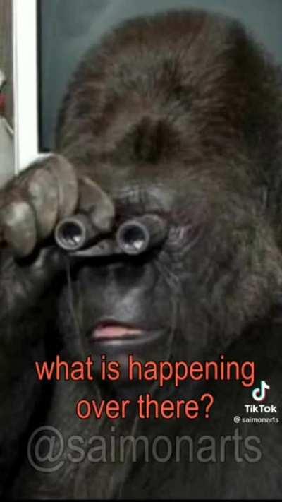 Tutorial: how to eat a banana 😎👌🏻🍌