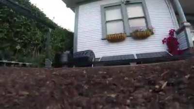 This machine plants seeds, pulls weeds and waters plants individually