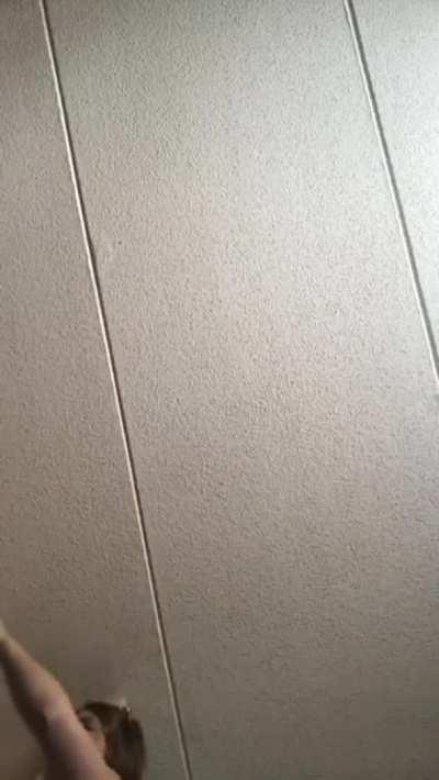 Big tiddies got on cam while changing