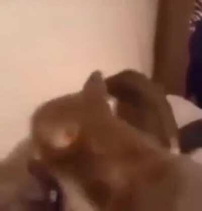 Hes coming for you, AAAAA