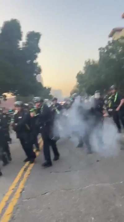 Protesters assaulted.