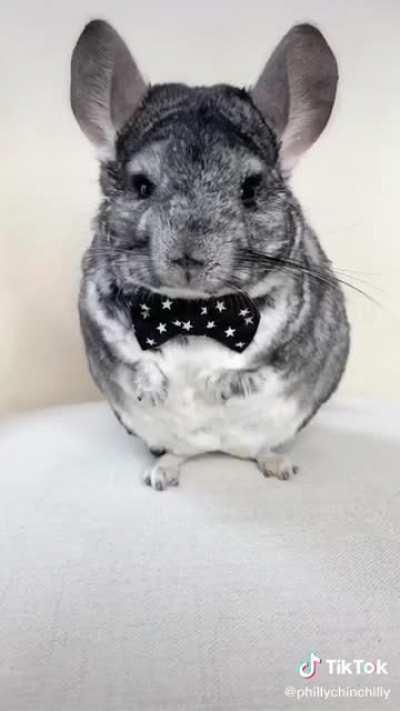 It’s the ✨wink✨ for me