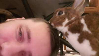 was having an awful day, fortunately I have kind bunny friends