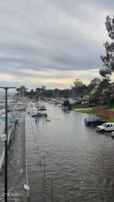 Santa Cruz harbor parking lot, after tsunami warning