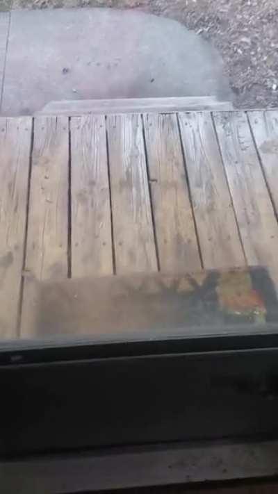 Our neighborhood stray that we dubbed Sir Reginald has learned to ring the doorbell until we give him food. This sucks at 2 am...