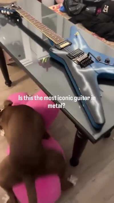 worlds greatest guitar instantly turn into van halen as soon as u hold it