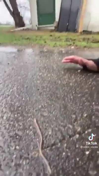 WTF is going on here!?