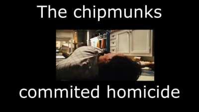 Alvin 🐿 watch out!!!