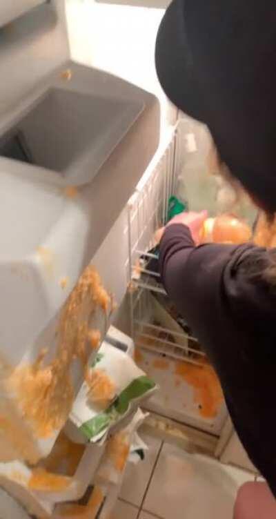 Roommate forgot what he put in the freezer.