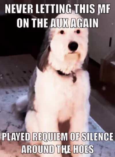 Re zero sex 480p working