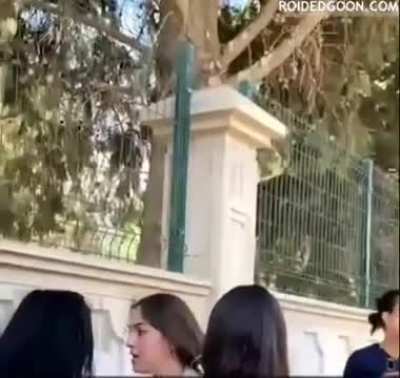 Türk kız kavgası #1