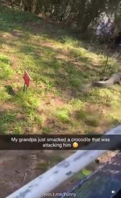 Grandpa 1, Crocodile 0