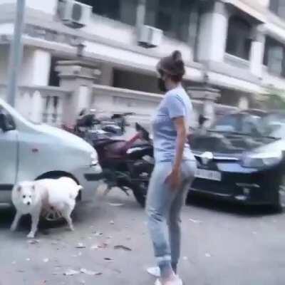 Sexy Malaika’s juicy big 🍑and her panty lines 👅💋😍😍😍😍