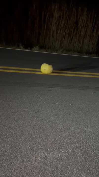 Car vs pumpkin 