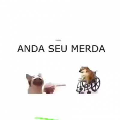 Eu nunca ri tanto na minha vida