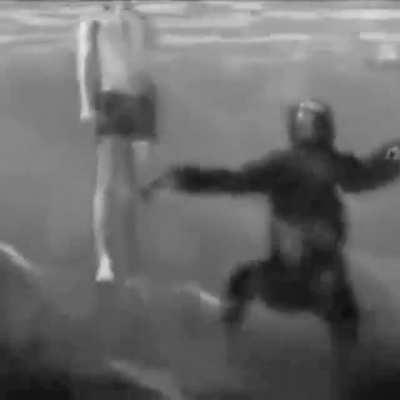 *Chimp drowning intensifies*