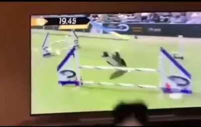 Hey thats me! Jump jump