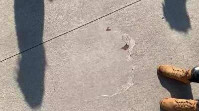 Just A Guy Being A Dude