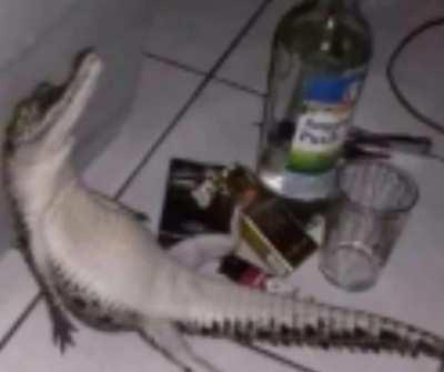 my exams are gonna be in next week and i dont pass i cant play boblox anymore ;-;