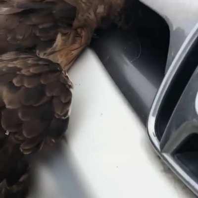 Zach and Lyle played the classic 