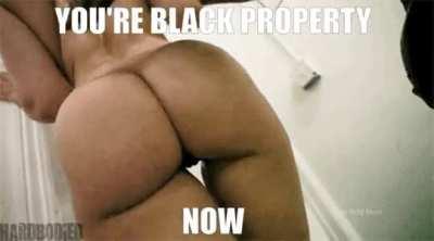 The four words every white wants to hear