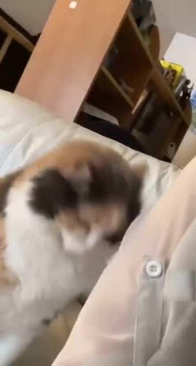 Took you long enough