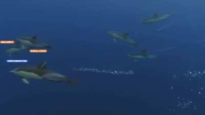 When you end a mate's career, you have to immortalise the moment.