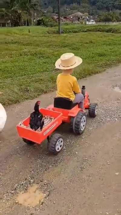 Little buddy is living the life 🚜👨‍🌾🐓🦆🐐 🐕