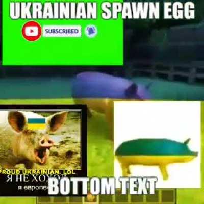 Ukraine 🐷🇺🇦