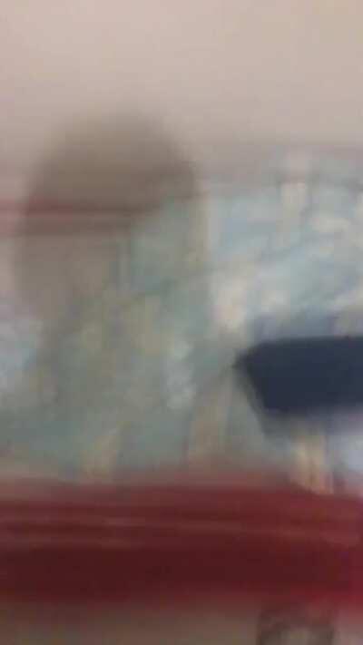 Oh boy, it’s snowing!