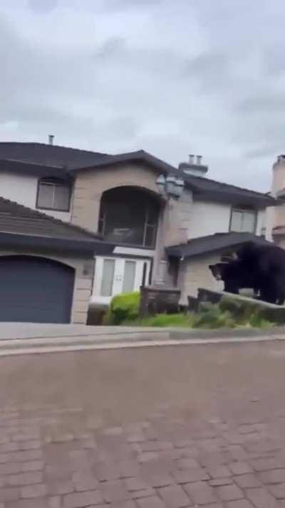 M2 Supply decreased. QE has quietly stopped. This is your sign here. Bear having sex on your soon to be foreclosed house.