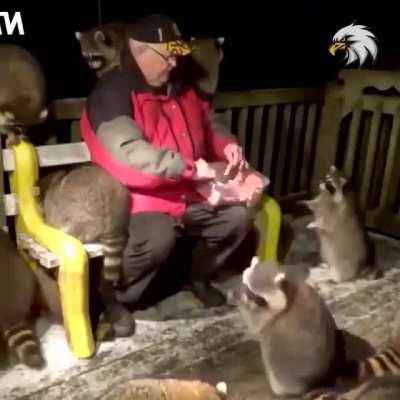 Feeding Hungry Racoons in Sub-Zero Winter ❤️
