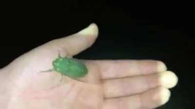 AAAAAAAAAAAAAAAAAAAAAAAAAAAAAAAAAAAAAAAAAAAAAAAAAAAAAAAAAAAAAAAAAAAAAA