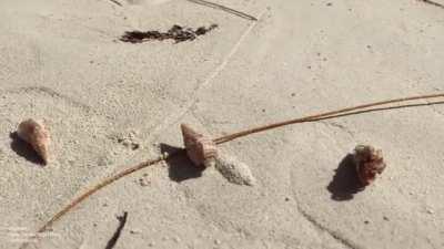 No… no… no… yes, thank you