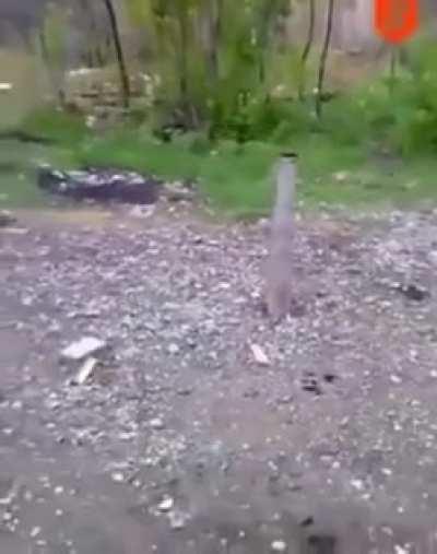 That escalated quickly