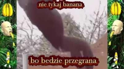 Dzień ósmy jest jak: