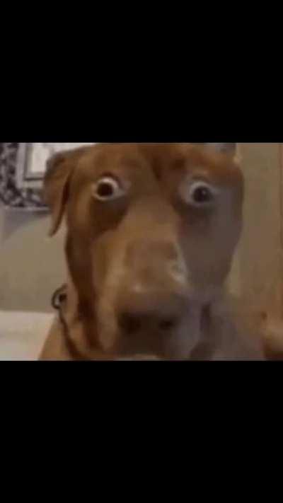 Discord moderator blends in with the crowd