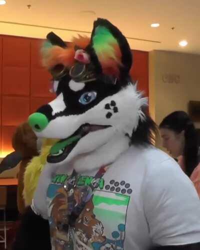 All gas no brakes has some great cringe content