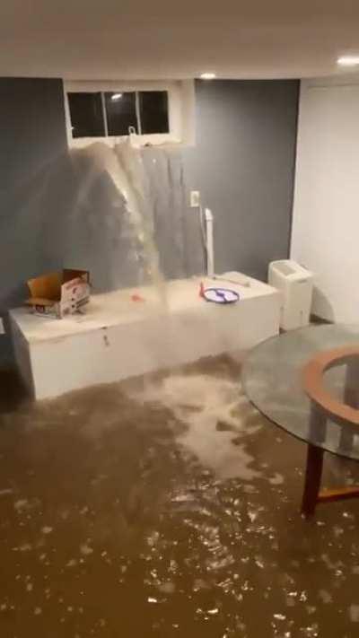 Get a basement apartment in New York they said. It'll be fun they said.