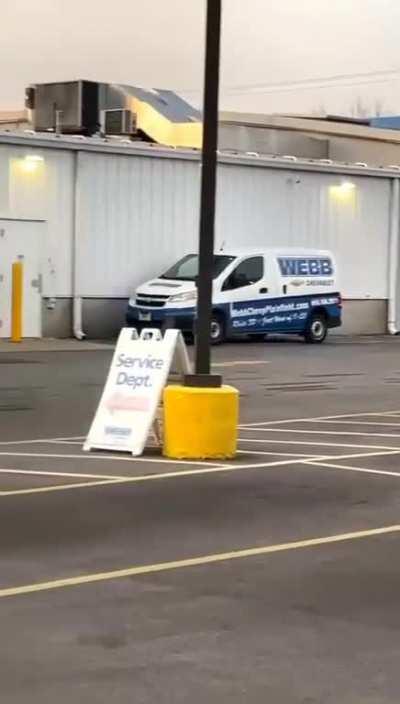 Hawk almost has a great dinner