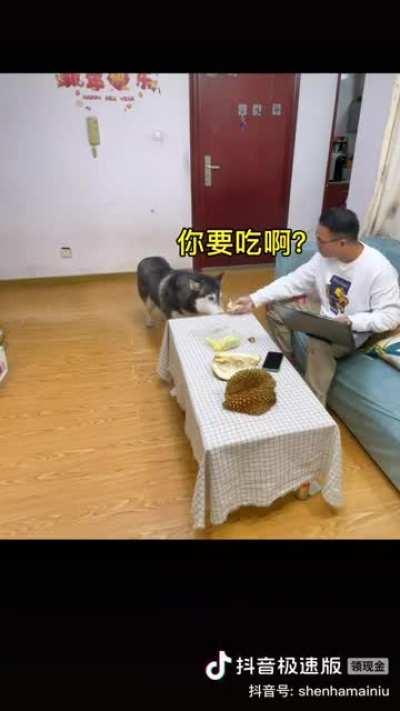 Wanna a piece of Durian? It smell so g....