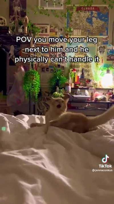 this boy is braincell negative.