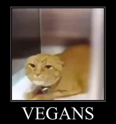 VEGANS😖