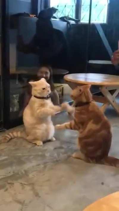 Can't stop watching this