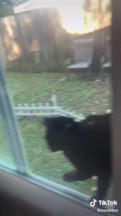 You better not post this on the internet ( cred to leedellee on TikTok )